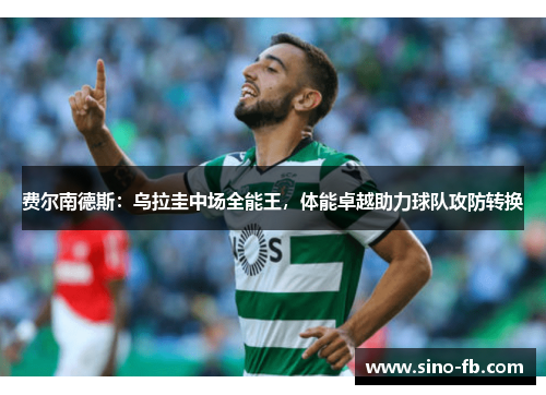 费尔南德斯：乌拉圭中场全能王，体能卓越助力球队攻防转换