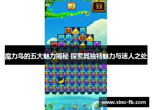 魔力鸟的五大魅力揭秘 探索其独特魅力与迷人之处 魔力鸟的五大魅力揭秘 探索其独特魅力与迷人之处