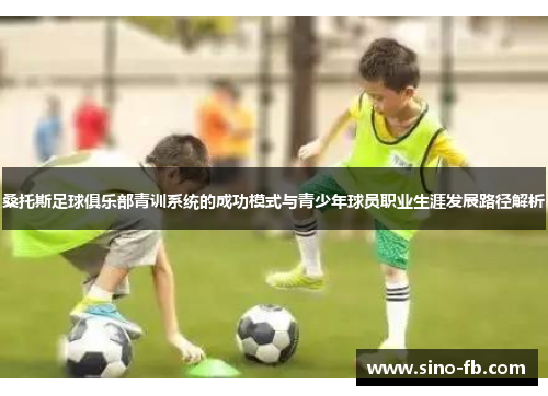 桑托斯足球俱乐部青训系统的成功模式与青少年球员职业生涯发展路径解析
