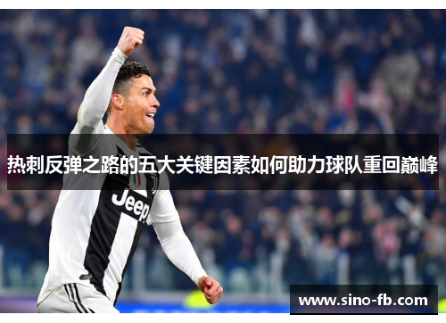 热刺反弹之路的五大关键因素如何助力球队重回巅峰